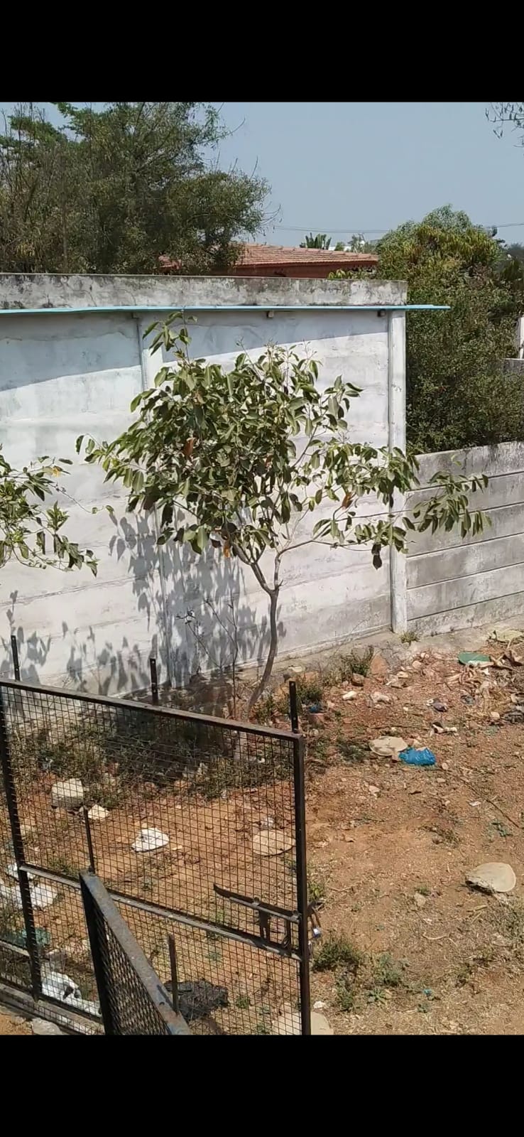 Open Plot for sale in Adi